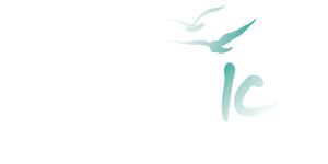 לוגו ראש יהודי